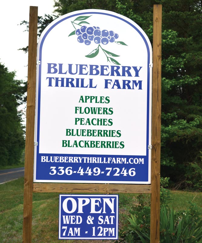 Blueberry Thrill Farm