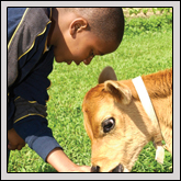 Gwynn Valley Cultivates Children’s Farm Understanding