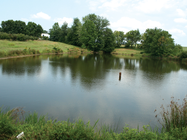 Farm Ponds Are More Than Just Water, Large Farm Pond Landscaping Ideas